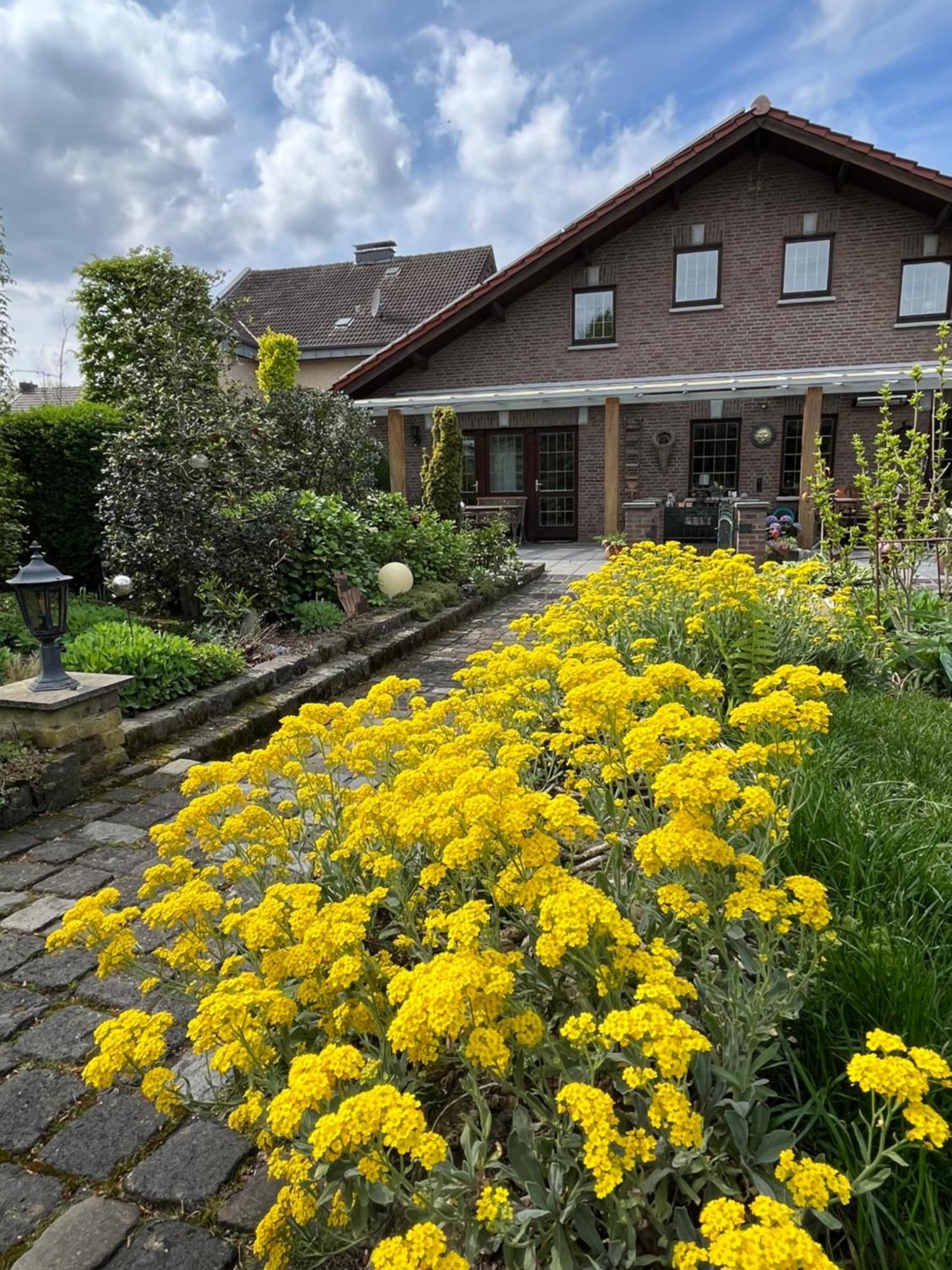 Ferienwohnung Jansen Selfkant Exteriér fotografie