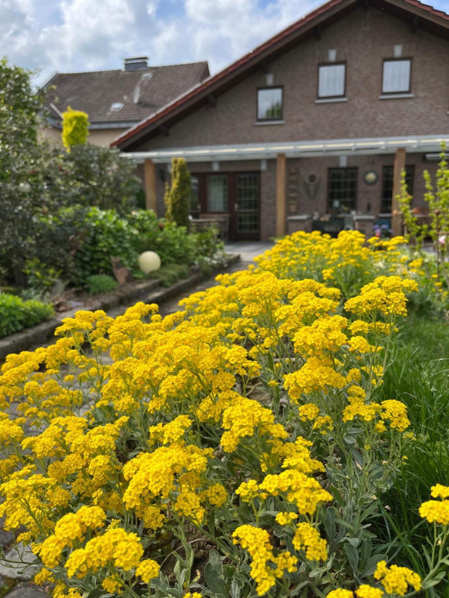 Ferienwohnung Jansen Selfkant Exteriér fotografie